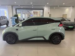 BYD Seagull 305km Freedom Edition - ფოტო 11