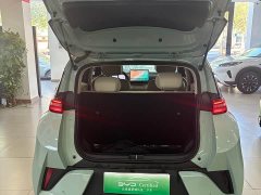 BYD Seagull 305km Freedom Edition - ფოტო 13