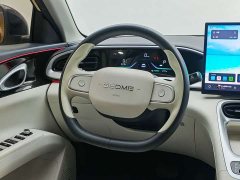 Geely Xing Yuan 310km Dream Edition - ფოტო 13