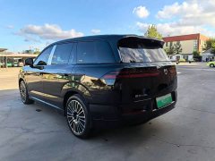 Denza BYD Denza N9 Flagship - ფოტო 8