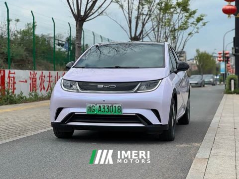2023 BYD Dolphin 420km Fashion Edition - ავტომობილი ჩინეთიდან