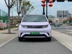BYD Dolphin 420km Fashion Edition - ფოტო 2