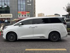 Denza BYD Denza D9 2022 DM-i 945 Luxury - ფოტო 3