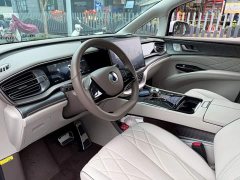Denza BYD Denza D9 2022 DM-i 945 Luxury - ფოტო 7