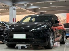 Tesla Model Y Rear-Wheel Drive - ფოტო 1