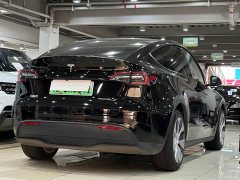Tesla Model Y Rear-Wheel Drive - ფოტო 16