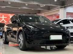 Tesla Model Y Rear-Wheel Drive - ფოტო 3