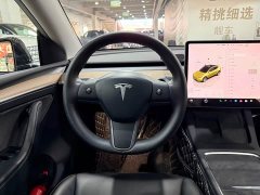 Tesla Model Y Rear-Wheel Drive - ფოტო 8
