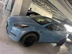 Tesla Model Y Standard Range RWD - ფოტო 1