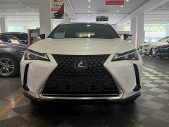 Lexus UX New Energy 2020 300e Pure Enjoyment Edition - ფოტო 2
