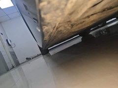 Li Auto Li Xiang MEGA Ultra - ფოტო 20