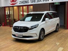 Buick GL8 ES Luxe 653T Prestige - ფოტო 1