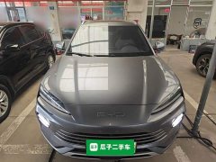 BYD Song Plus New Energy Champion Edition DM-i 110KM Flagship - ფოტო 2