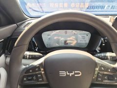 BYD Song Plus New Energy DM-i 112KM Luxury Edition - ფოტო 16