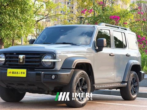 2024 Tank 300 2.0T Challenger - ავტომობილი ჩინეთიდან