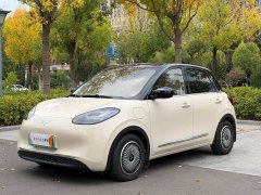 Wuling Binguo 2024 333km Joy Edition - ფოტო 1