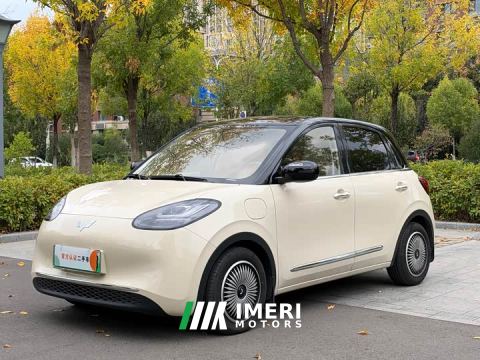 2025 Wuling Binguo 333km Joy Edition