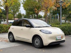 Wuling Binguo 2024 333km Joy Edition - ფოტო 3