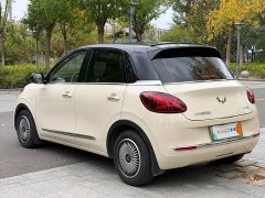 Wuling Binguo 2024 333km Joy Edition - ფოტო 6