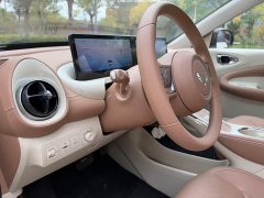 Wuling Binguo 2024 333km Joy Edition - ფოტო 8