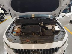 Geely Xingrui 2023 1.5T Diesel Fuyao Edition - ფოტო 19