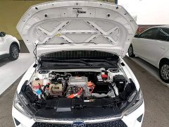BYD e2 Luxury - ფოტო 19