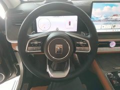Tank 500 3.0T Business Edition Landscape Version 5-Seater - ფოტო 10