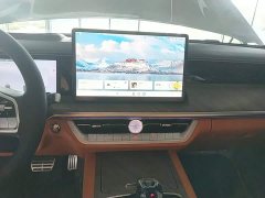 Tank 500 3.0T Business Edition Landscape Version 5-Seater - ფოტო 12