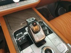Tank 500 3.0T Business Edition Landscape Version 5-Seater - ფოტო 13