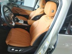 Tank 500 3.0T Business Edition Landscape Version 5-Seater - ფოტო 14