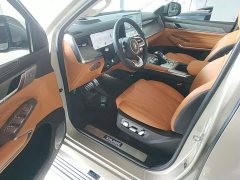 Tank 500 3.0T Business Edition Landscape Version 5-Seater - ფოტო 15