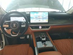 Tank 500 3.0T Business Edition Landscape Version 5-Seater - ფოტო 9