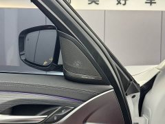BMW 5 Series 530Li Luxury M Sport Package - ფოტო 10