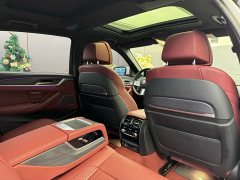 BMW 5 Series 530Li Luxury M Sport Package - ფოტო 9