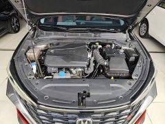 Changan Eado PLUS Blue Whale NE 1.4T GDI DCT High Performance Edition - ფოტო 19