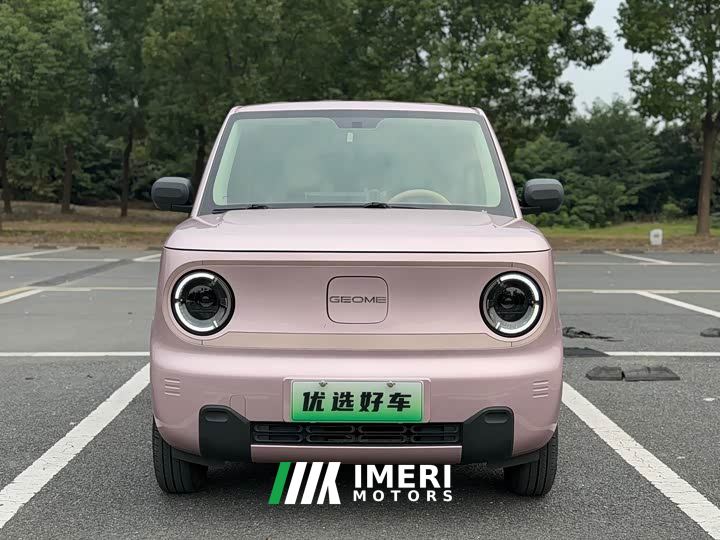 Geely Panda Mini 200km Endurance Edition - ავტომობილი ჩინეთიდან