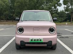 Geely Panda Mini 200km Endurance Edition - ფოტო 1