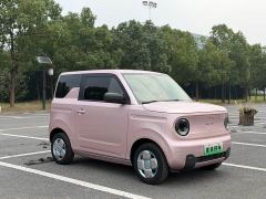 Geely Panda Mini 200km Endurance Edition - ფოტო 2