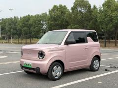 Geely Panda Mini 200km Endurance Edition - ფოტო 3