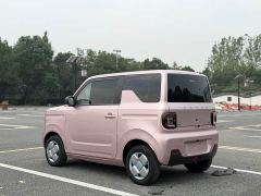 Geely Panda Mini 200km Endurance Edition - ფოტო 5