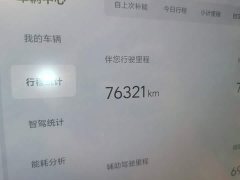 Li Auto L7 Pro - ფოტო 4