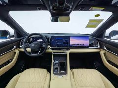 Geely Xingyue L Oriental Radiance 2.0T Auto Star Collection Edition - ფოტო 12