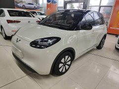 Wuling Binguo 333km Joy Edition - ფოტო 1