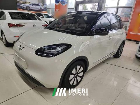 2023 Wuling Binguo 333km Joy Edition