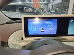 Wuling Binguo 333km Joy Edition - ფოტო 11