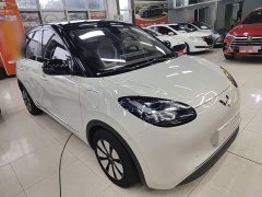 Wuling Binguo 333km Joy Edition - ფოტო 3