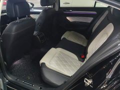 Volkswagen Magotan 2 Million Units Celebration Edition 330TSI DSG Luxury - ფოტო 11