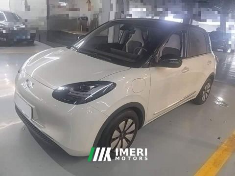 2024 Wuling Binguo 333km Lingxi Connected Plus