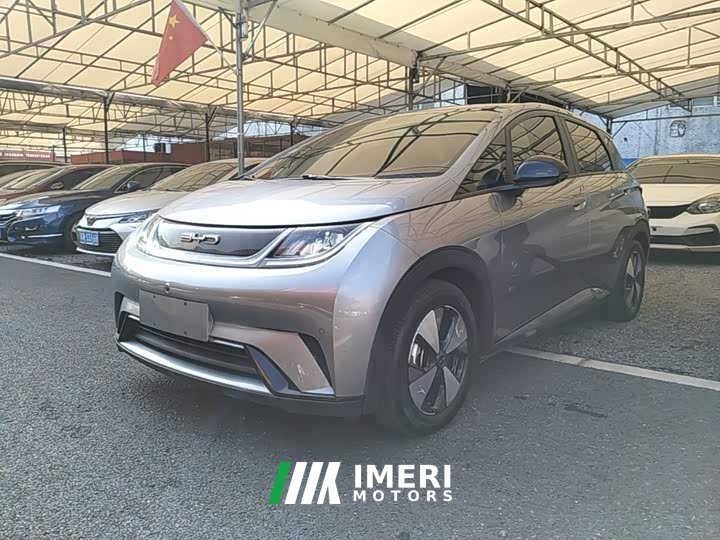 BYD Dolphin 420km Fashion Edition - ავტომობილი ჩინეთიდან