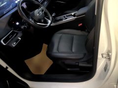 Geely Emgrand 4th Generation 1.5L CVT Luxury - ფოტო 14